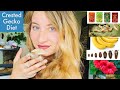 Crested Gecko Diet 101