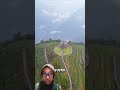Tempat Ini Terlihat Seperti CGI Tapi Nyata Ada di Dunia #alurfilm #shortvideo #beritaterkini #film