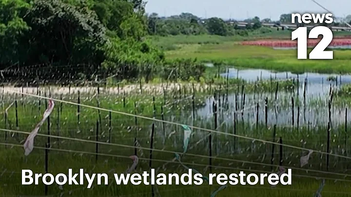 Four Sparrow Marsh Wetland Restoration now complete, open to public | News 12