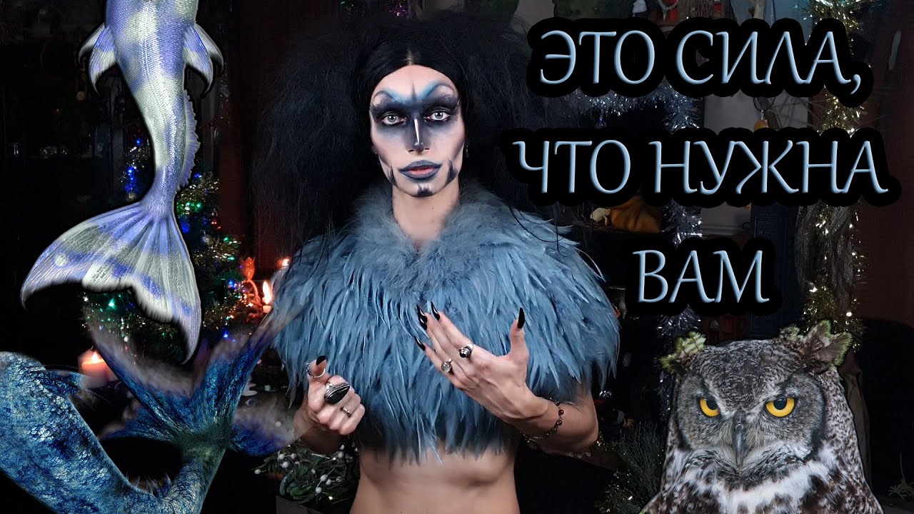 Тотемное животное карина Тотемное животное карина
