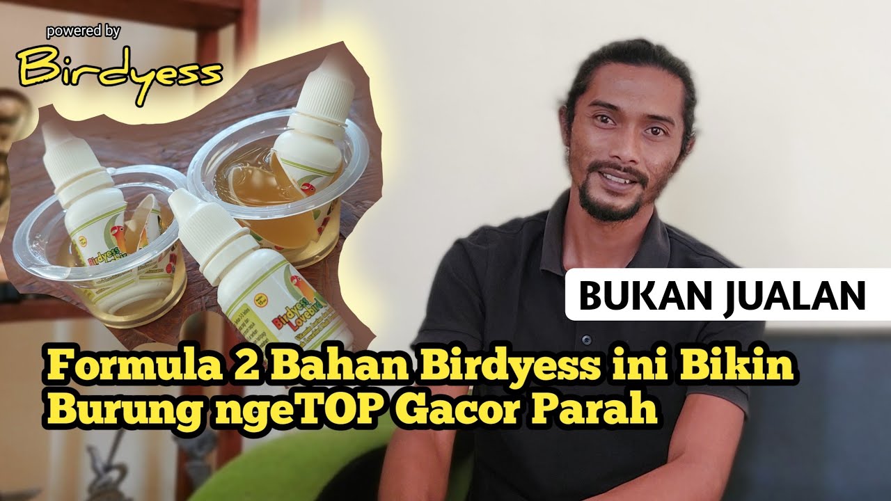 Formula Vit Birdyess Mending Saya Bocorkan Aja Sekarang