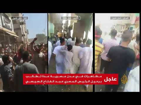 🇪🇬عبد الفتاح فايد: الشعب يحكم بالقبضة الأمنية والجوع، في حين توجد استراحات وقصور لا تستعمل