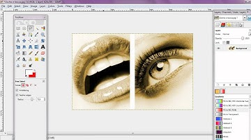 Video Tutorial Con Gimp 2.6-Colorize