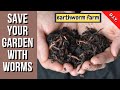 ☑️ Earthworm farm (no cost) 🧺 Φάρμα σκουληκιών χωρίς κόστος 💶