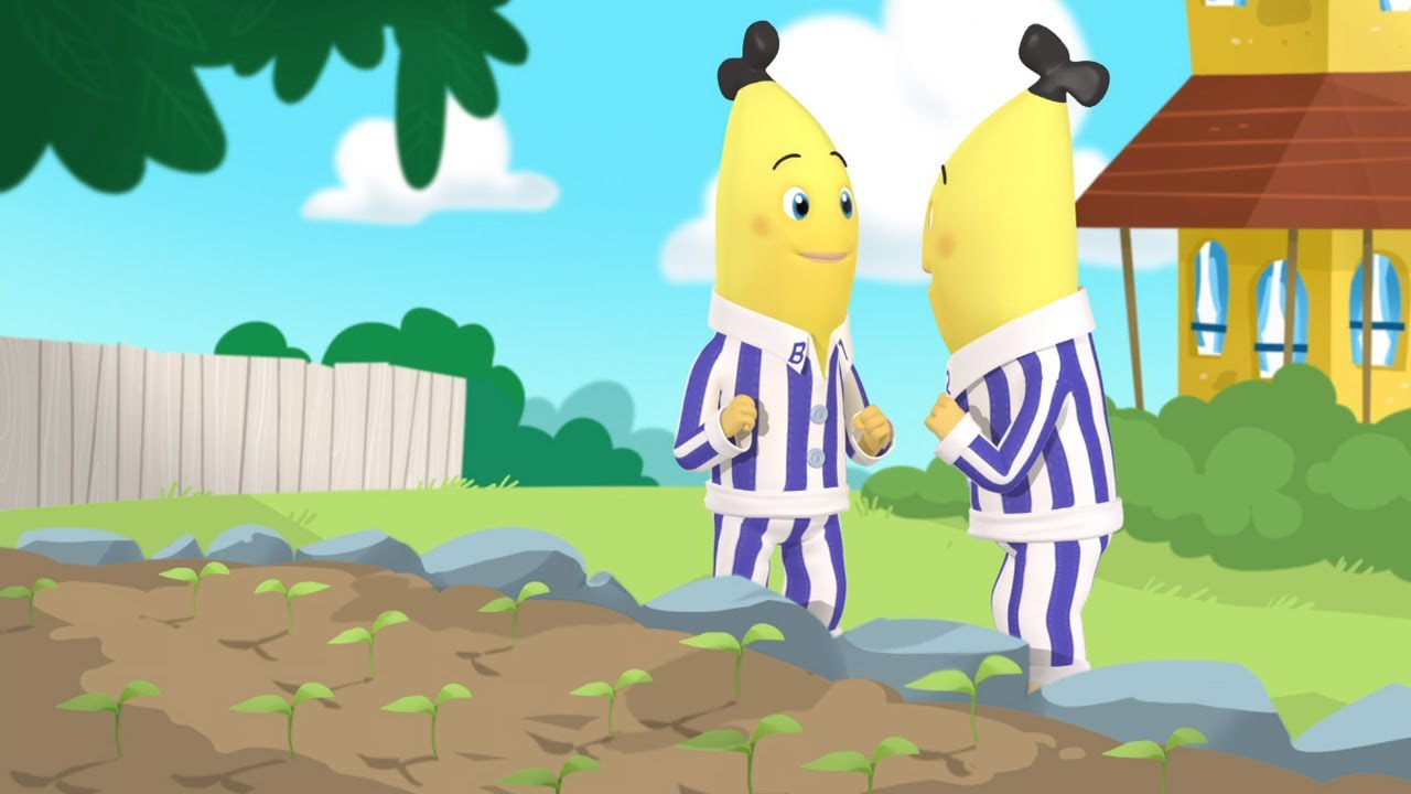 The Green Bananas! Bananas in Pyjamas Season 2 Full Episodes Bananas In Pyjamas YouTube