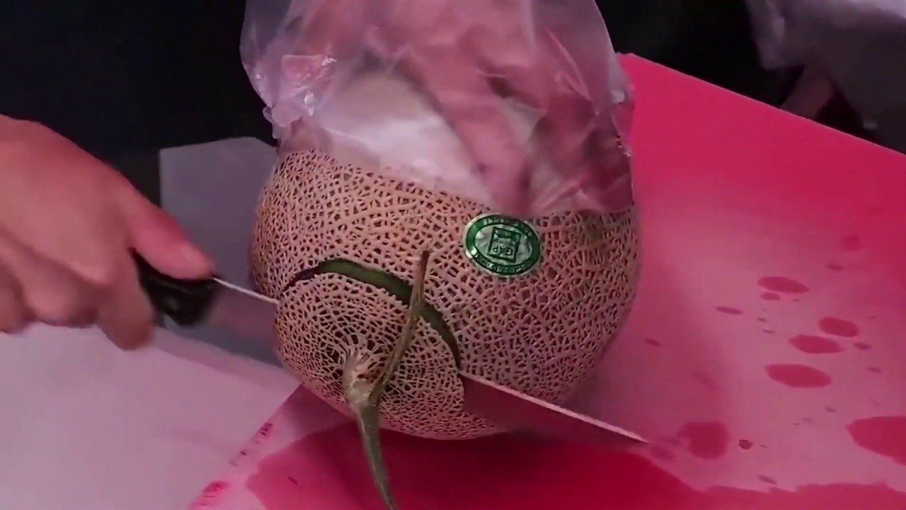 Amazing Fruit Cutting Skills Fruit Ninja Master Awesome Knife