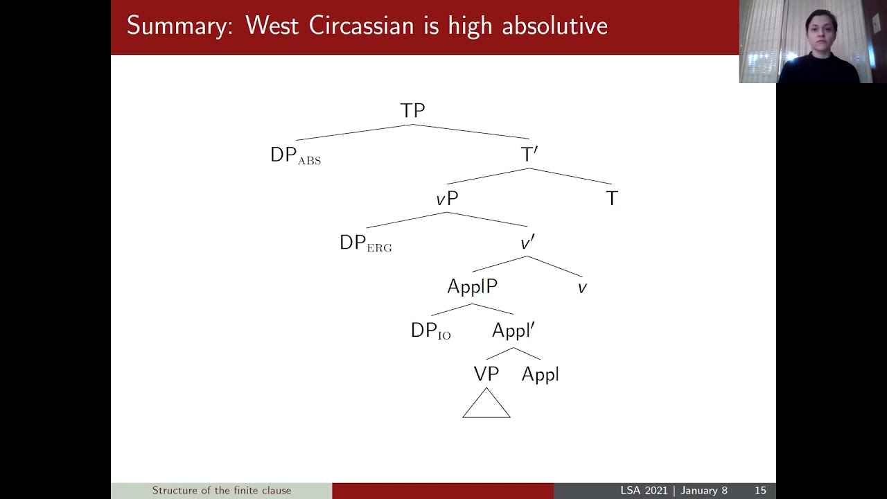 #LSA2021 Morphosyntax: Nominalizations
