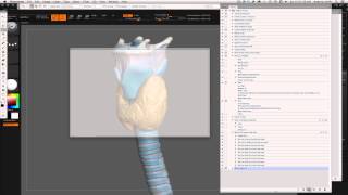Exporting BPR Render Passes from ZBrush