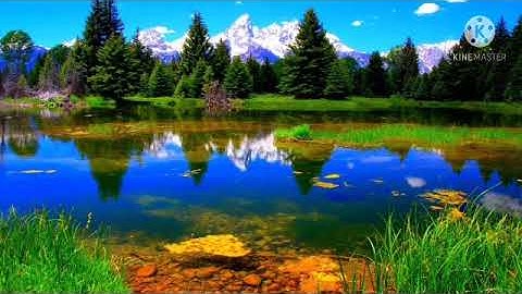 سورة الأعراف بصوت القارئ مشاري بن راشد العفاسي 🌻