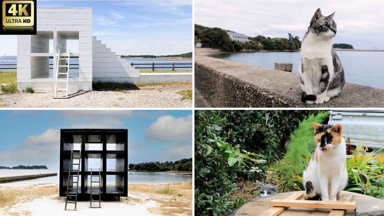 Cat Island! where you can meet cats and art! Sakushima Japan Let's