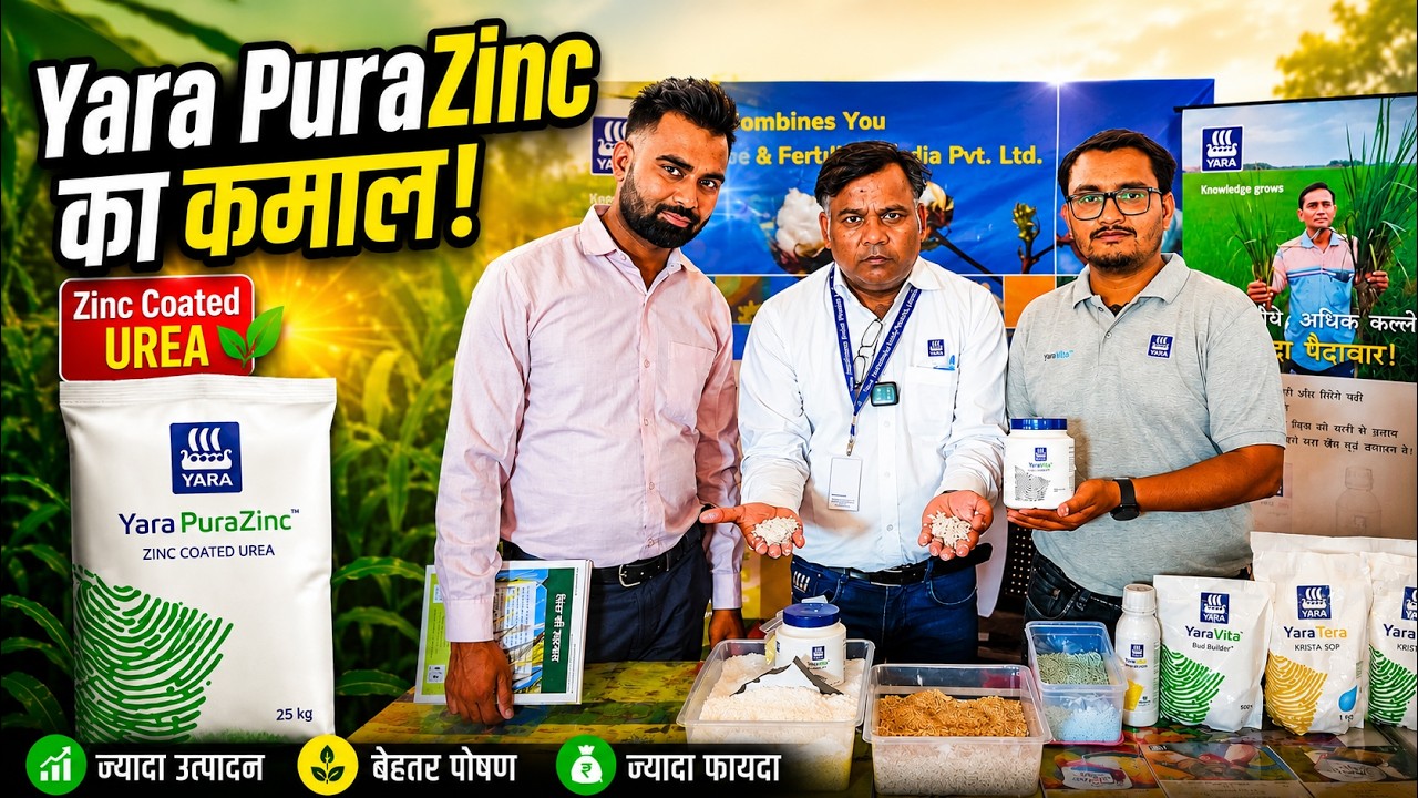 Yara PuraZinc के साथ यूरिया की बढ़ेगी Efficiency! | Zinc Coated Urea से किसानों को फायदा