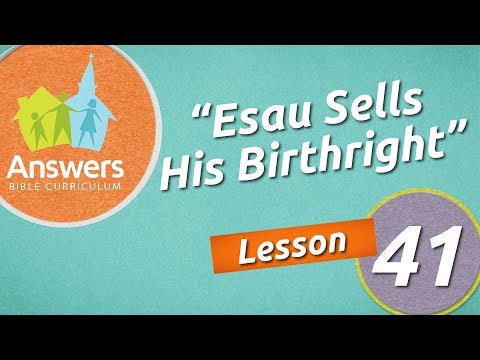         41