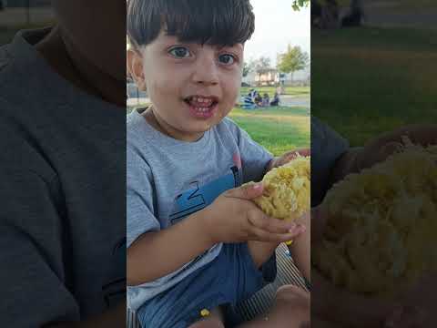 شوفو شو صار في العرنوس دارة Animals النظافه Funny الرحمن اكسبلور الظروف الرمال الرمال Cute