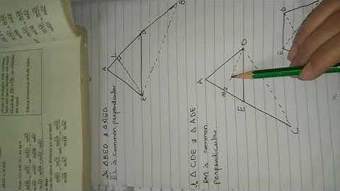 Maths 8th & 9th. Unit # 14. Theorem 14.1.1+14.1.2