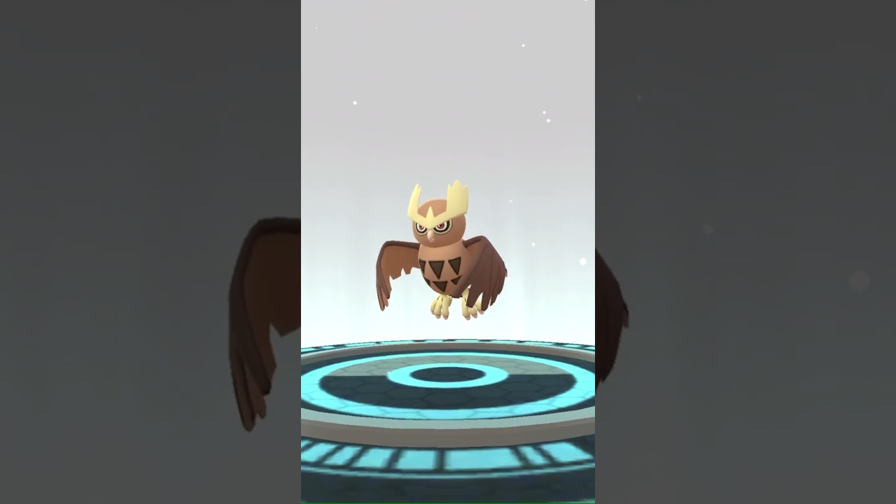 [Pokemon GO] Evolving OG Hoothoot into 93% Noctowl! 