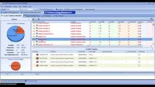 StarCat Online Video Demo: Software License Management