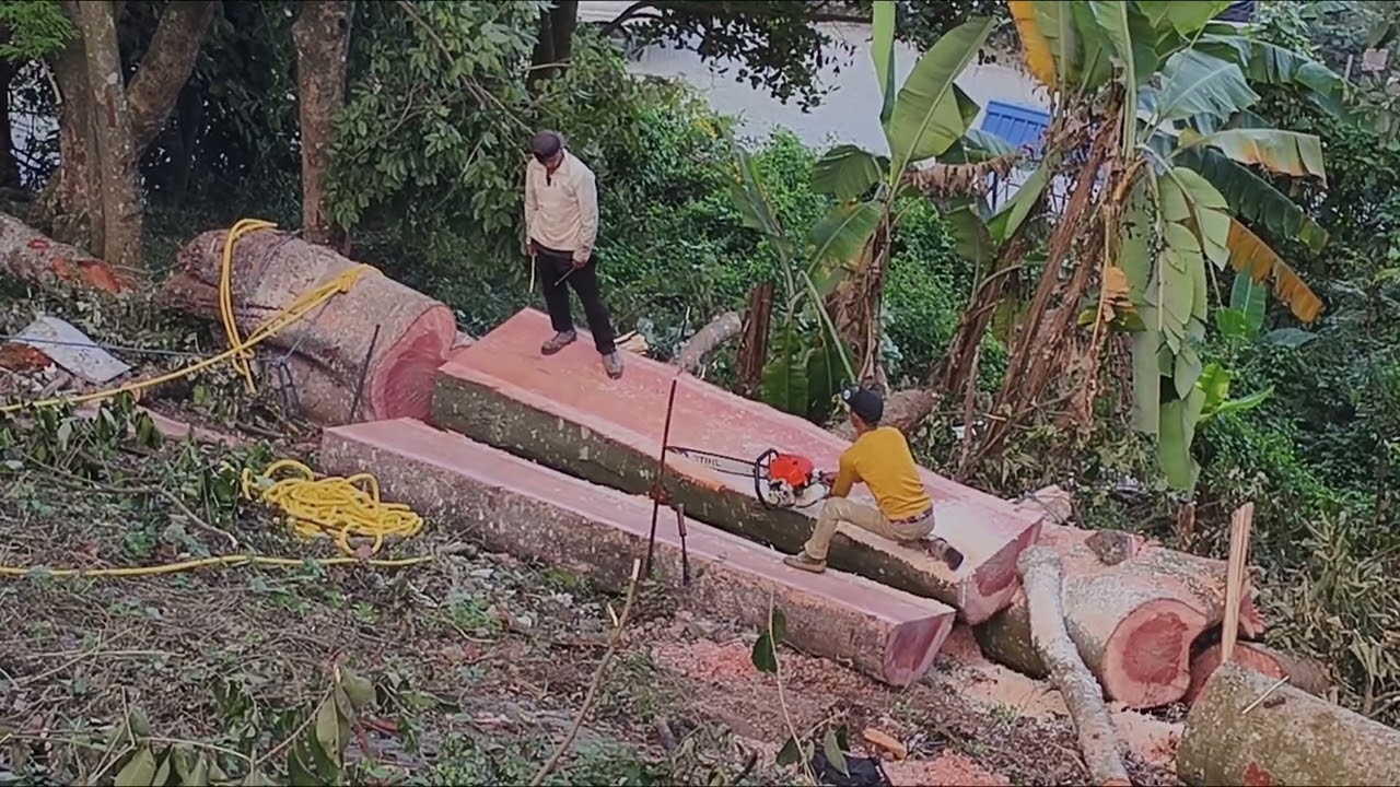 Belphuar fit 4 hawlh tlang 