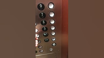 Pressing all the buttons of the elevator