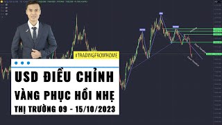 USD điều chỉnh - Gold tăng nhẹ sau NFP - Thị trường tuần 41 - 2023 (09 - 15/10)