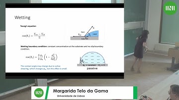 Prof. Margarida Telo da Gama | Active nematics on surfaces: from droplet motility and scission to...