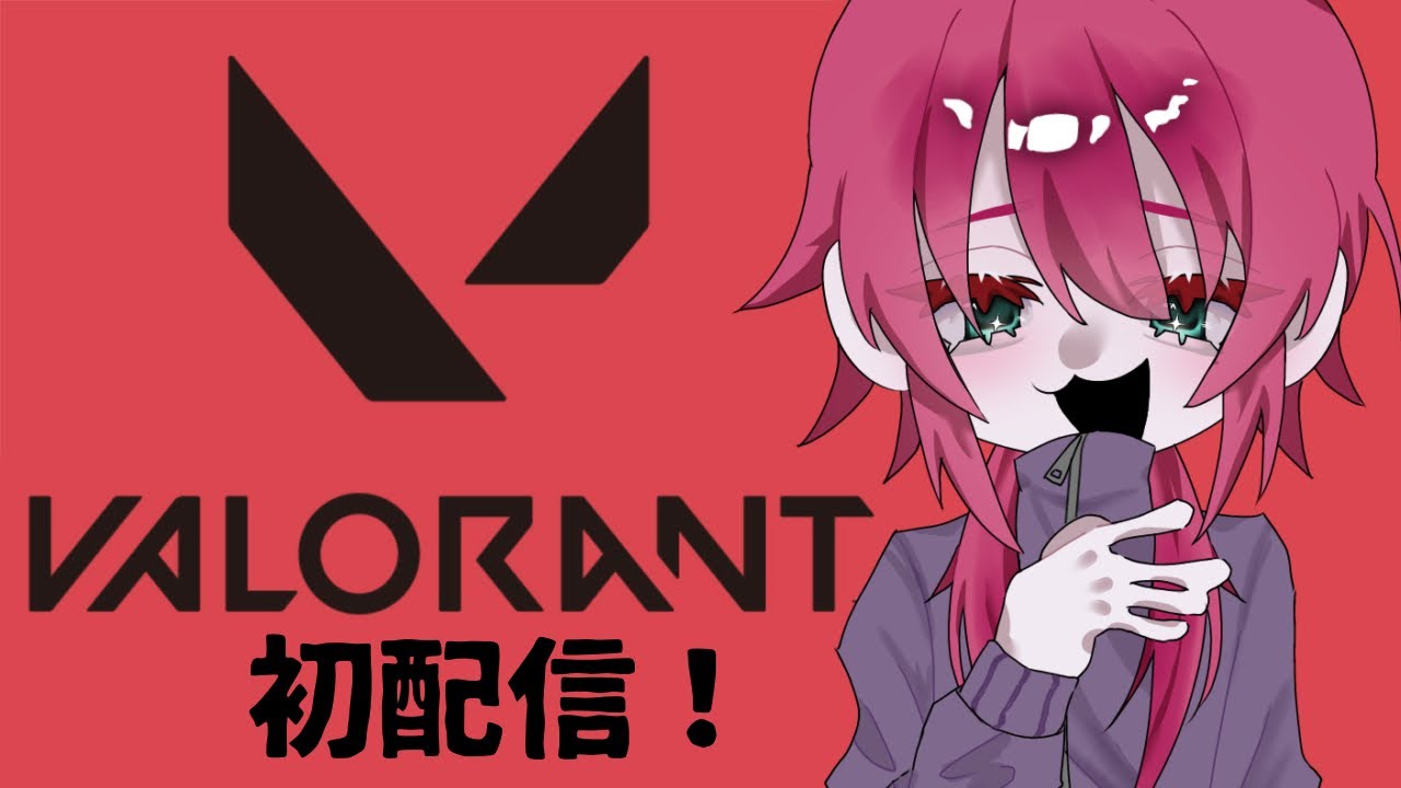 【Valorant】初配信
