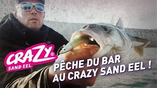 fiiish - Pêche du bar en Normandie au Crazy Sand Eel