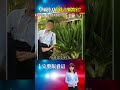 持刀衝音樂教室殺連襟！砍逾50刀還切斷電源！學霸！又是名校教授！專攻半導體曾獲教學獎！ @ebcOhMyGod #shorts