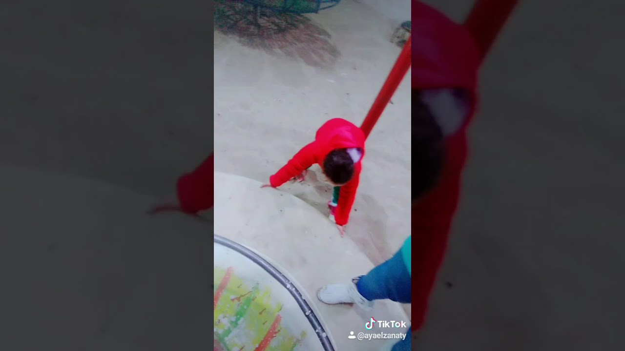 2019年12月1日 - 2020年11月30日