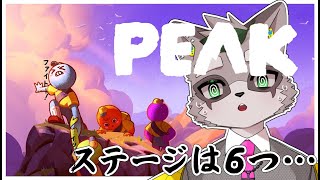 【PEAK】森を抜けます　小狸まみ助　　#ケモノvtuber