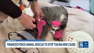 Michele s Rescue seeks donations to support medical cases