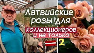 :    2.      