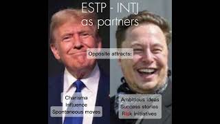 Estp-Intj Partnership A Battle Of Ego, Ambition, And Vision