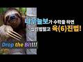 비트의 이해 = 이진법의 이해// 드랍더비트_2