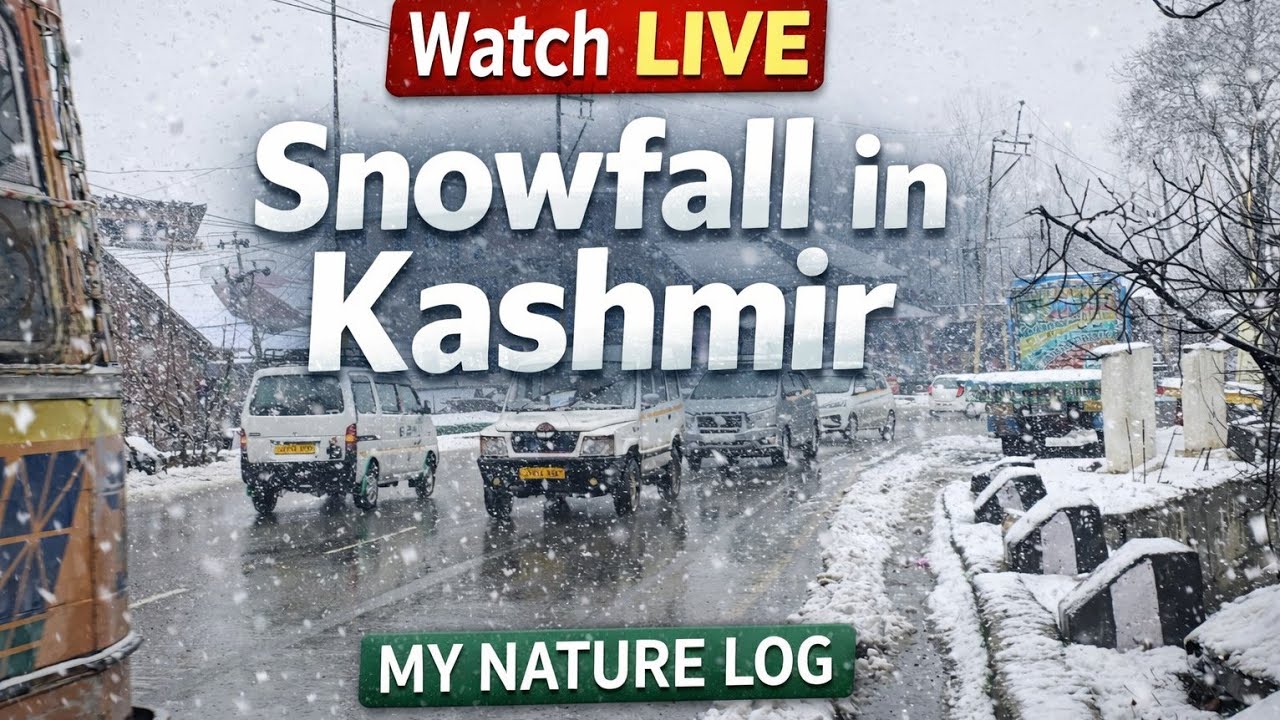 Heavy Snowfall continue in Anantnag Kashmir