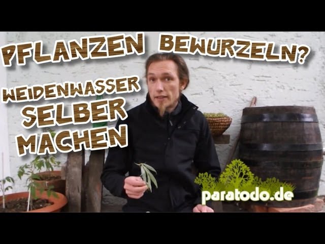 Pflanzen bewurzeln? Weidenwasser selber machen | paratodo.de vom 13.05.2013