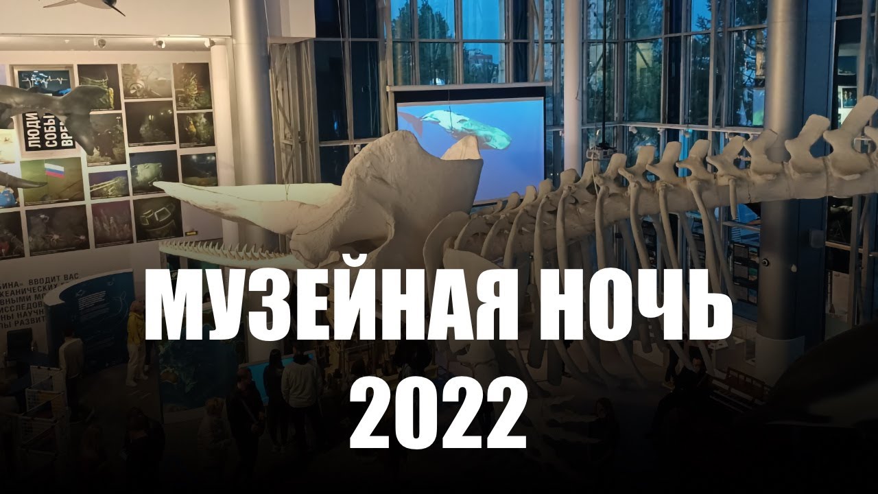 Музейная ночь 2024 калининград