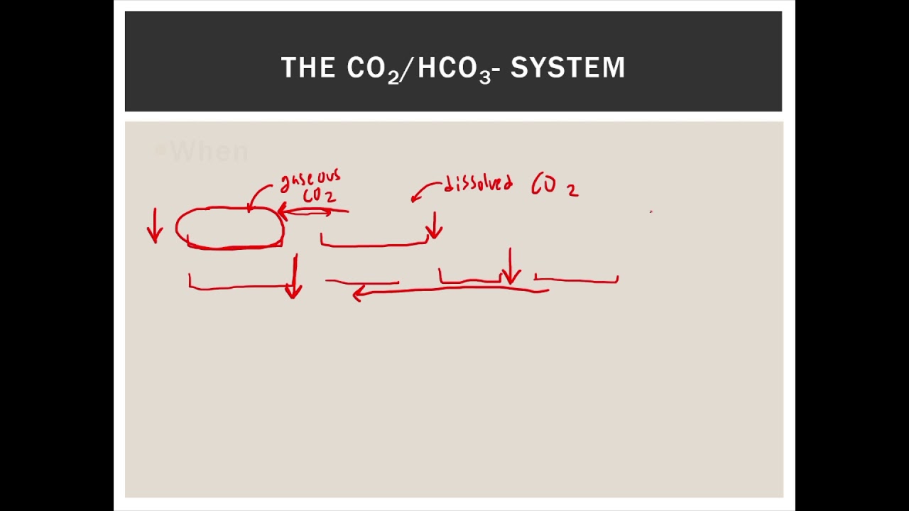 Chem12 U4p Biological Buffers and Other Stuff YouTube