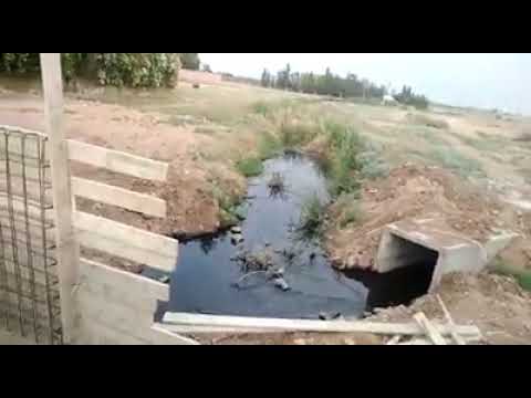 شوفو هاد الظلم والحكرة لي كتعانيه ساكنة دار ولد زيدوح بسبب كارثة الصفاية ومعمل كوزيمار