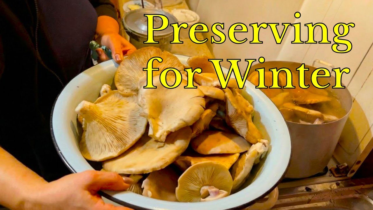 Village Preserves: Marinated Mushrooms
