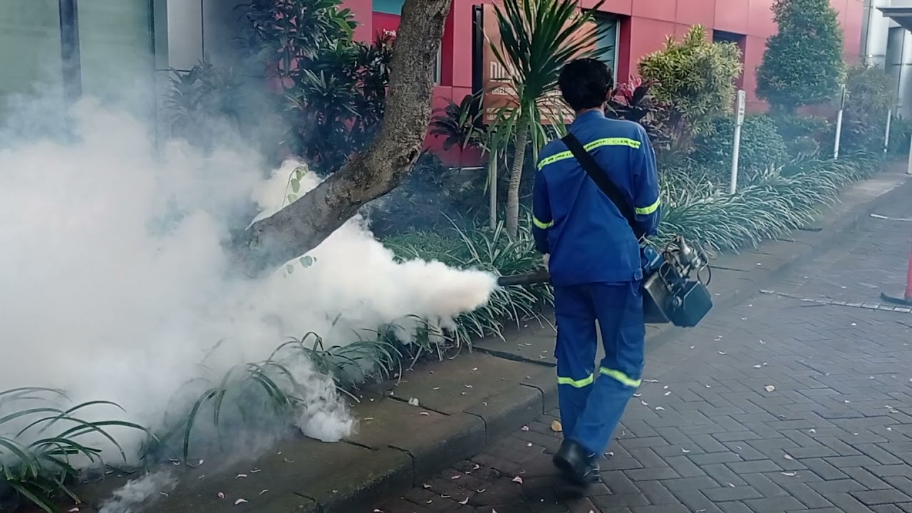 BASMI NYAMUK || FOGGING PENGASAPAN NYAMUK DBD