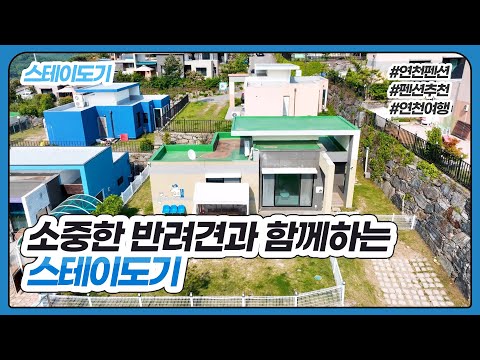[연천 스테이도기] 애견동반펜션 펜션추천 풀빌라추천 연천펜션 연천풀빌라 연천여행 러블리코리아 lovelykorea
