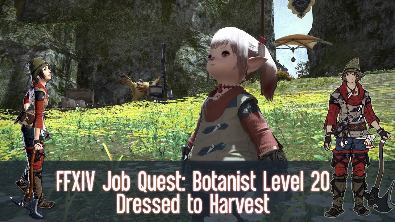 FFXIV Botanist (BTN) Job Quest Level 20 Dressed to Harvest YouTube