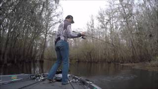 Winter Bass Fishing Florida on the Suwannee River
