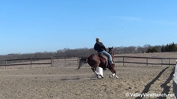 WilluAcceptThisRose - Juan Pablo   ***For info, price, etc., go to our website*** Valley View Ranch