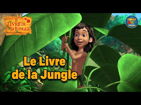 Le Livre de la Jungle Jungle Book French  Mowglis cub