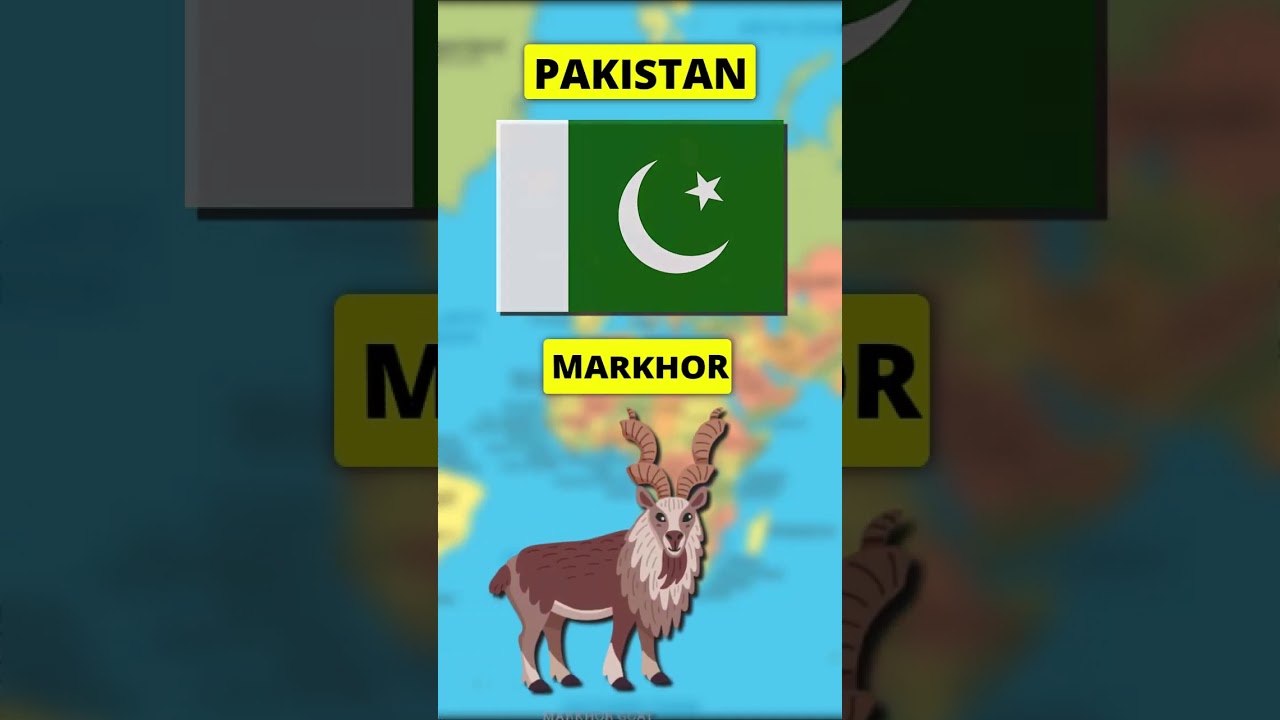 National Animals Of Countries With Flags | Fun With Flags 