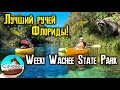 Последние деньки во Флориде. Каяки на Weeki Wachee Spings State Park