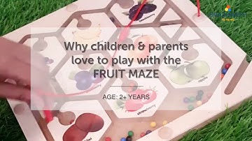 Brainsmith Fruit Maze Board