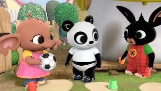 Bal Pierenbad Boombladtekeningen Aardappel En Meer  Pando En Bing