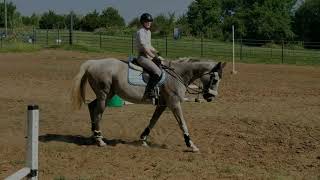 Flatwork/Gridwork